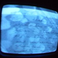 2006 01 10 05 15 23