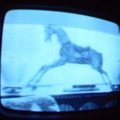 2006 01 10 05 16 33