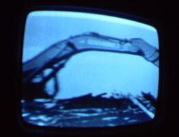 2006 01 10 05 30 15