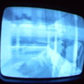 2006 01 10 05 37 24