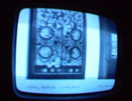 2006 01 10 05 42 25