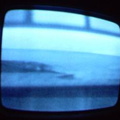 2006 01 10 05 49 55