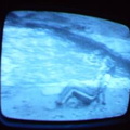2006 01 10 06 01 56