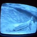 2006 01 10 06 02 36