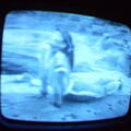 2006 01 10 06 04 56