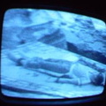 2006 01 10 06 06 26