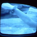 2006 01 10 06 10 17