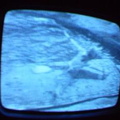 2006 01 10 06 11 57
