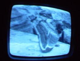 2006 01 10 06 13 37