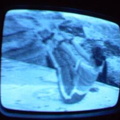 2006 01 10 06 13 37