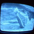 2006 01 10 06 14 07