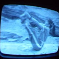2006 01 10 06 14 27