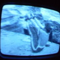 2006 01 10 06 14 37