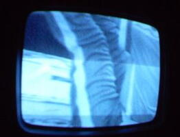2006 01 10 06 14 47