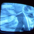 2006 01 10 06 15 37