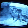 2006 01 10 06 15 47