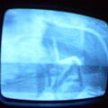 2006 01 10 06 15 57
