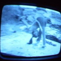 2006 01 10 06 18 17