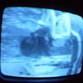 2006 01 10 06 19 17