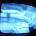 2006 01 10 06 19 27