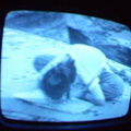 2006 01 10 06 21 07