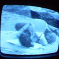 2006 01 10 06 21 17