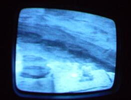 2006 01 10 06 24 38