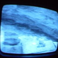 2006 01 10 06 24 38