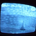 2006 01 10 06 24 47