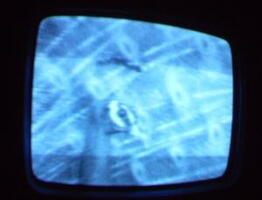 2006 01 10 06 24 57