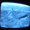 2006 01 10 06 25 38