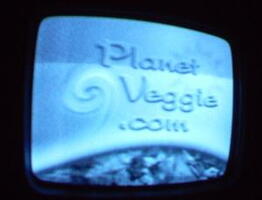 2006 01 10 06 27 07