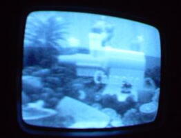 2006 01 10 06 30 18