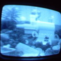 2006 01 10 06 30 18