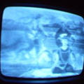 2006 01 10 06 30 57