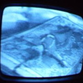 2006 01 10 06 32 47