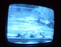 2006 01 10 06 33 08