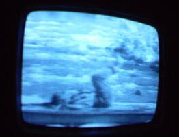 2006 01 10 06 33 17