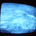 2006 01 10 06 33 28