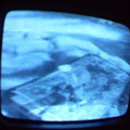 2006 01 10 06 33 37