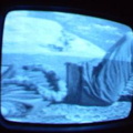 2006 01 10 06 34 07