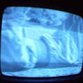 2006 01 10 06 35 07