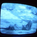 2006 01 10 06 35 28