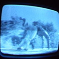 2006 01 10 06 36 08