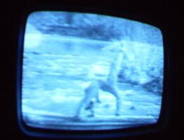 2006 01 10 06 36 28