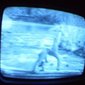 2006 01 10 06 36 28
