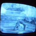 2006 01 10 06 37 08
