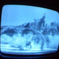 2006 01 10 06 37 48