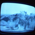 2006 01 10 06 37 58