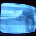 2006 01 10 06 39 08